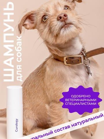 Элегантные и Стильные Товары для Животных — Инфографика для Маркетплейса