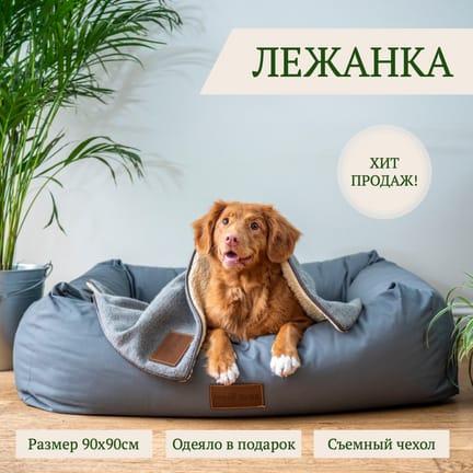 Карточка Товара: Лежанка для Собак на Фоновой Фото