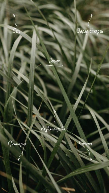 Вдохновляющие Тропические Фоны для Вашего Смартфона