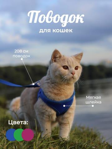 Инфографика с Изображением Поводка для Животных на Фоне для Маркетплейса