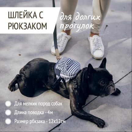Обзор Поводка для Собак: Серый и Белый Дизайн Карточки Товара