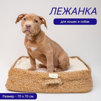Товары для Животных в Серо-синем Дизайне: Шаблон Карточки Товара