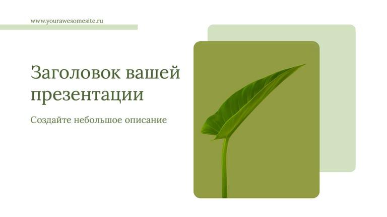 Минималистичная Презентация в Простых Белых и Зеленых Тонах