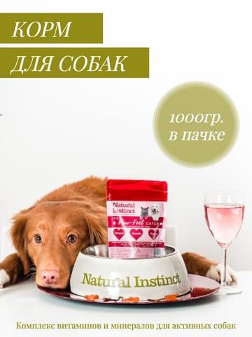 Карточка для Маркетплейса Корма для Собак в Белом и Зеленом Дизайне